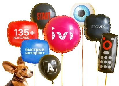 Услуги Дом.ру в посёлке Житня